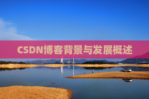 CSDN博客背景与发展概述